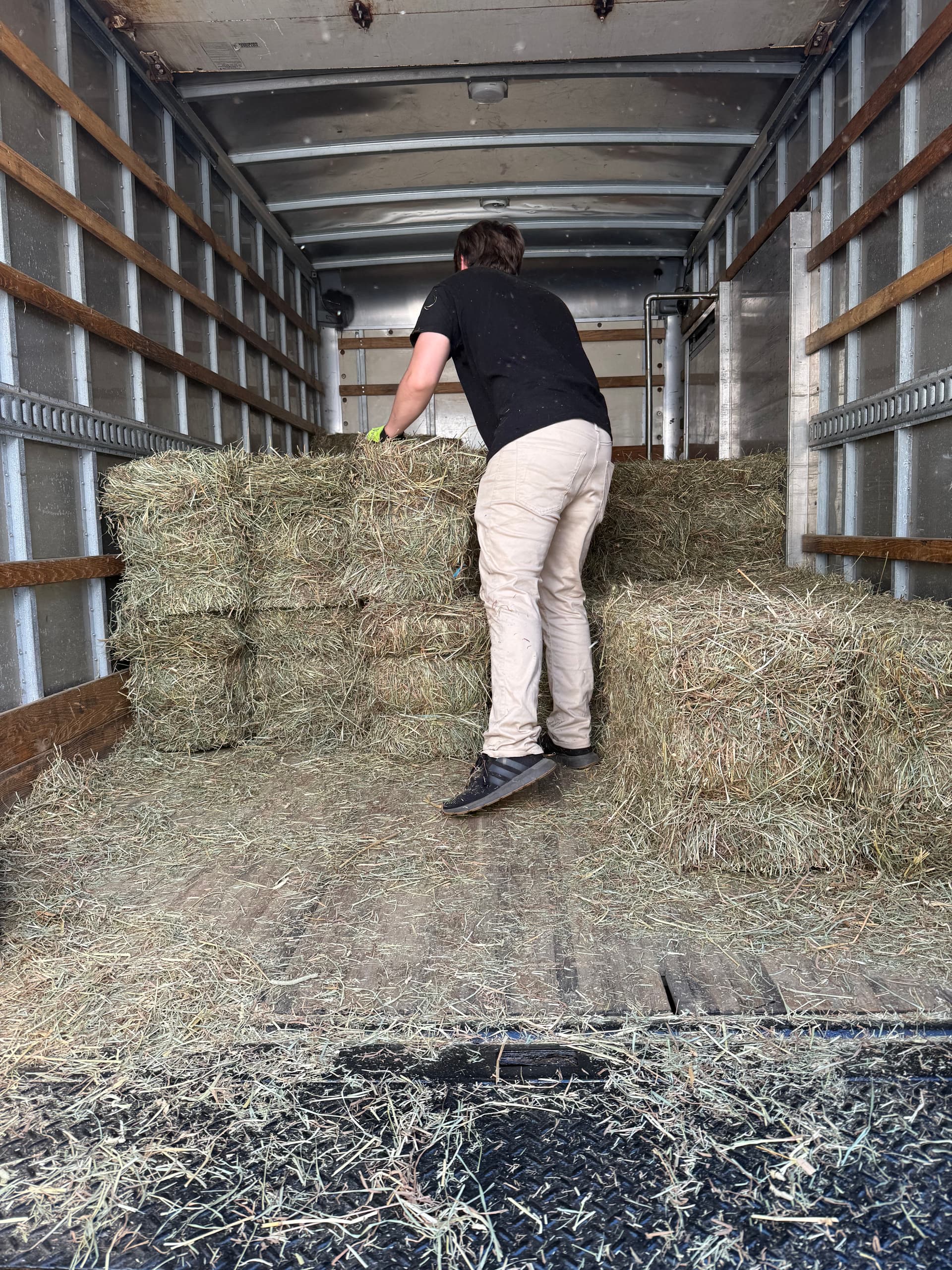 2nd Cut Hay