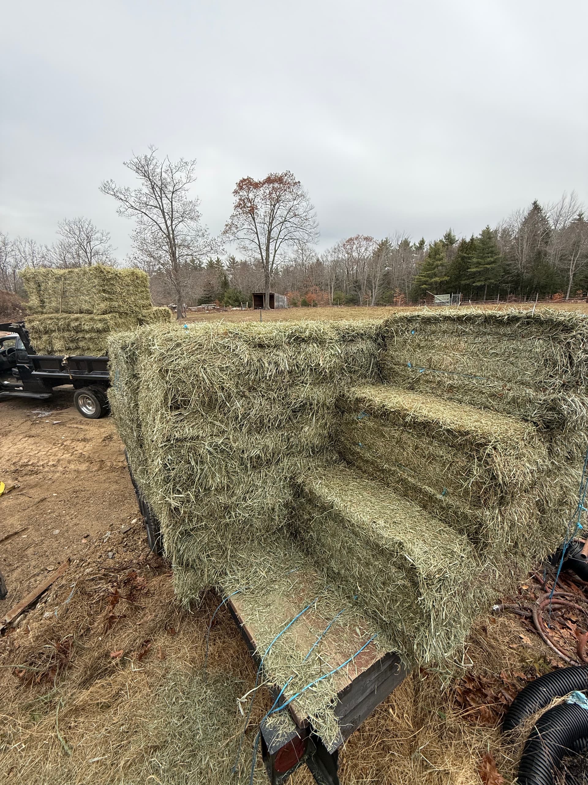 2nd Cut Hay