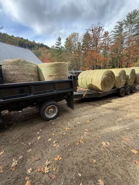 Hay bales at Long Barn